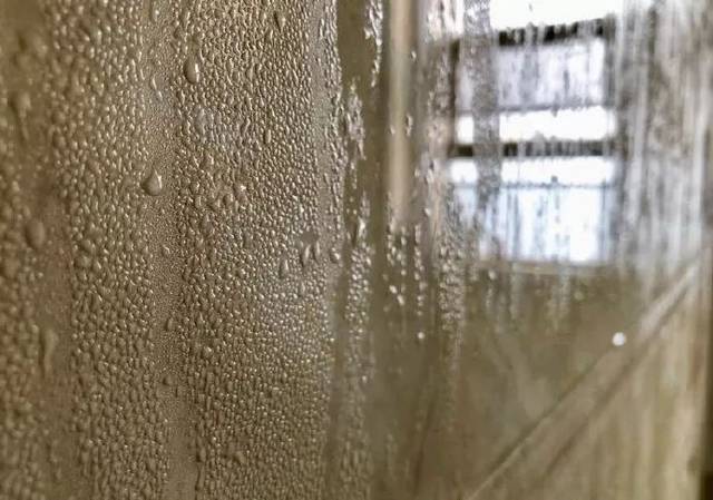 南风天潮湿不利健康，春季居家防潮攻略！